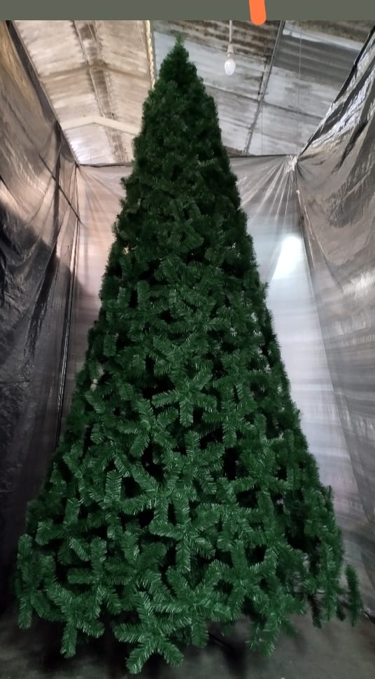 Pinheiro Mônaco Ref. 570 120cm